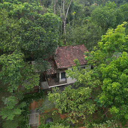 Safari Hills Vythiri-3