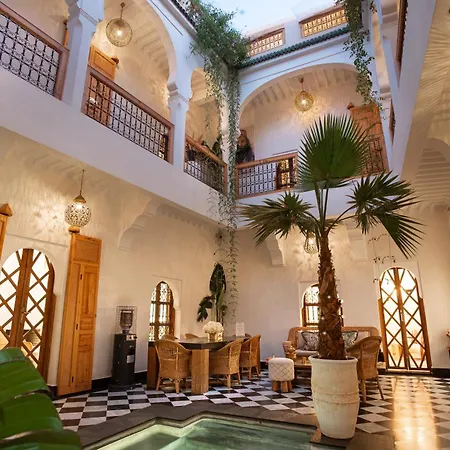 Riad LallaBaya-3