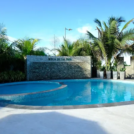 Mula De La Paz-2