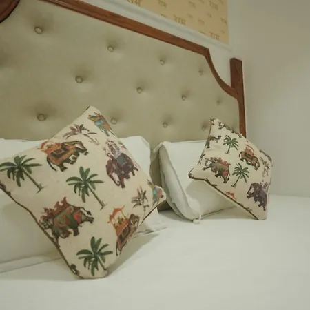 Shri Ram Paying Guest House Premium Rooms-2