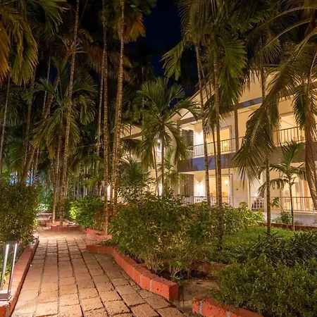 Vits Select Casuarina Diveagar-2