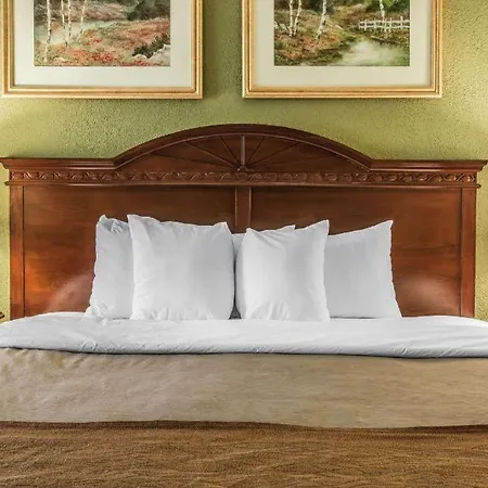 Quality Inn & Suites Ann Arbor Hwy 23-2