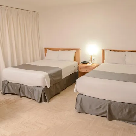 Hotel Don Miguel-3