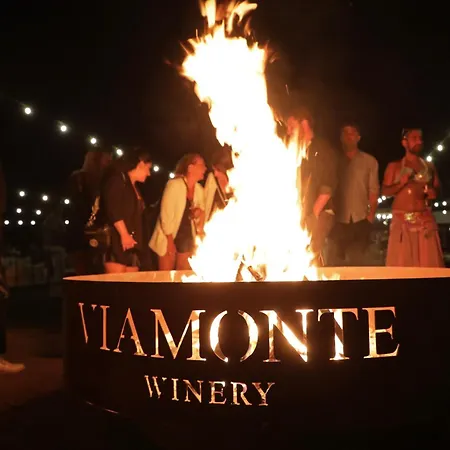 Viamonte Winery Lodge-3