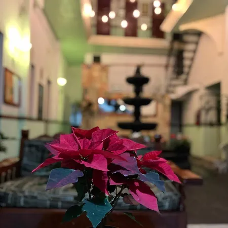 Hotel Las Flores-2