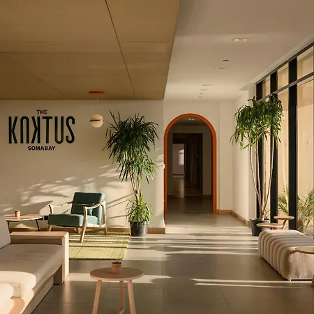 The Kaktus Somabay-2