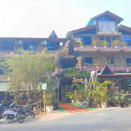 Jungle Resort-2