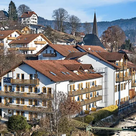 Das Arber-Hotel am Rothbach-3
