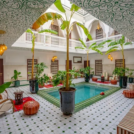 Riad les palmiers de la medina-3