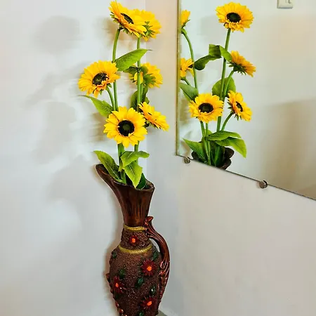 Sadanand Home-3