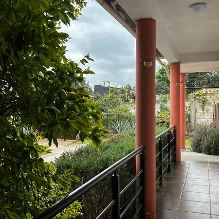 El Agave-2