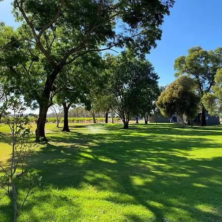 Buller Wines-2