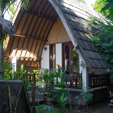 Follow The Rabbit Bungalow-3