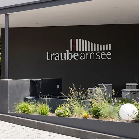 Hotel Traube am See-3