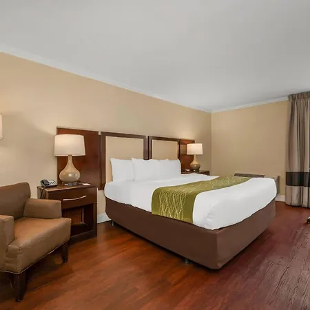 Comfort Inn Oceanside Deerfield Beach-2