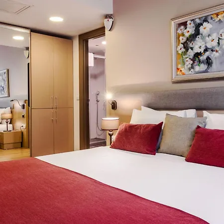 Cheya Besiktas Istanbul Bosphorus City Center Hotel & Suites-2