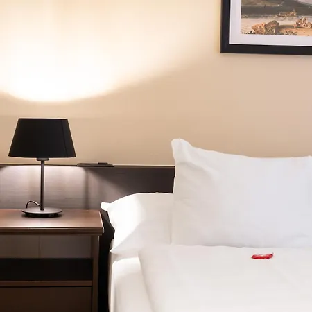 Swiss Inn&Apartments-2