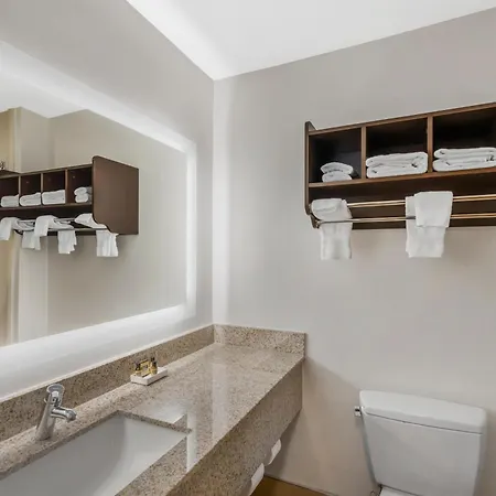 Best Western Plus Mcdonough Inn & Suites-2