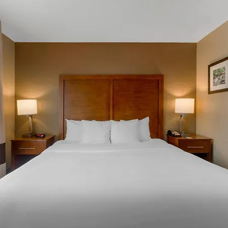 Comfort Inn & Suites Peachtree Corners - Norcross-3