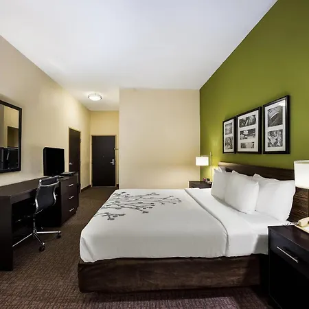Sleep Inn & Suites Valdosta Mall Area-3