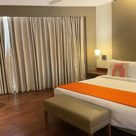 The Anya Hotel Gurgaon - Golf Course Road-3