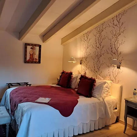 Hotel Le Mas Trilles-2