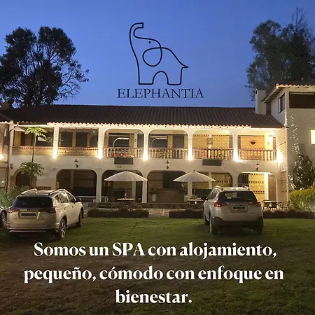 Elephantia Spa Hotel-3