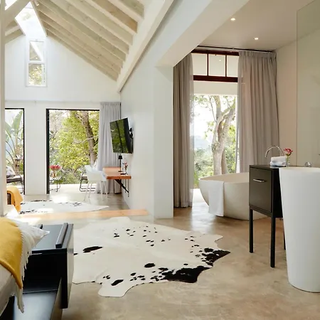 Summerhill Guest Estate-2