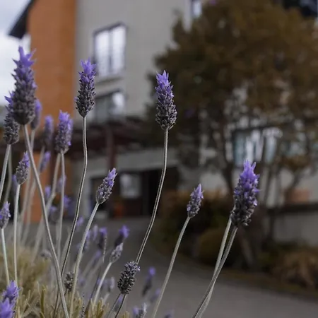 Hotel Gramado Interlaken-3