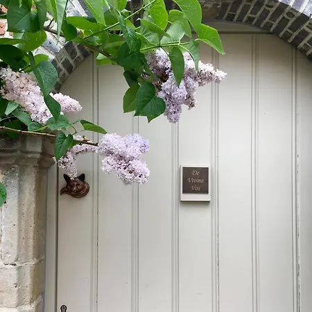 B&B De Vrome Vos-2