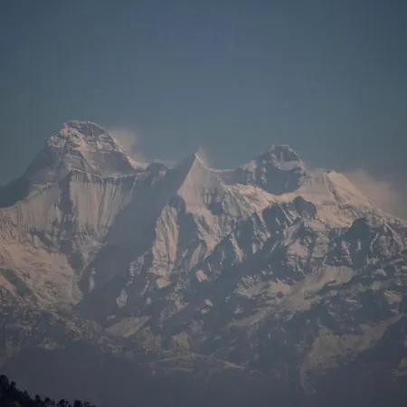 Khali Estate-2