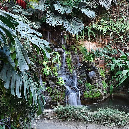Hotel Nirvana Garden-2