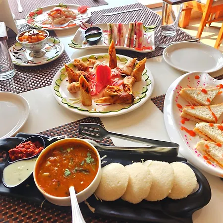 Opulence Inn - 500 Meters From Railway Station-3