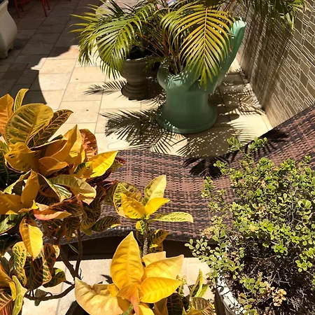Pousada Residência dos Sonhos-3
