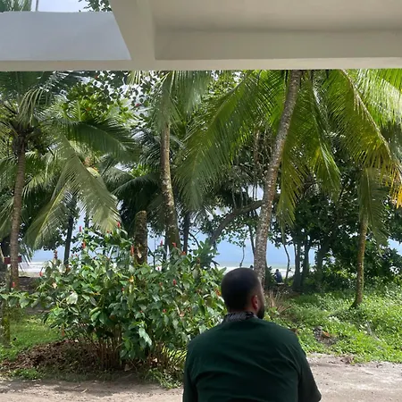 Hotel Pura Natura Beachfront Tortuguero-3