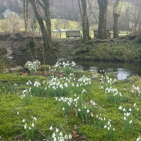 The Grasmere Hotel-2