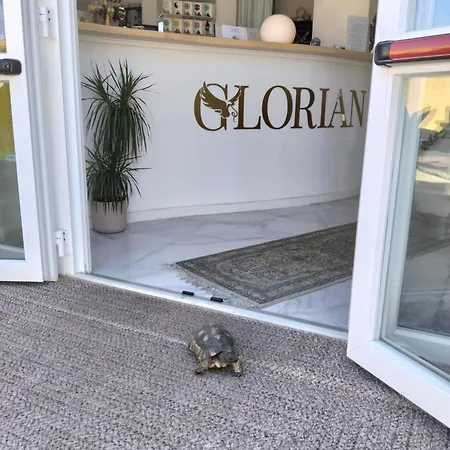 Glorian Hotel-2