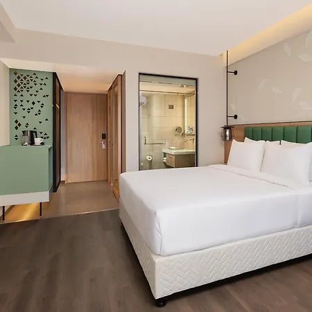 Hilton Garden Inn Surat City Centre-2