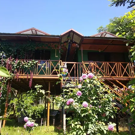 Jungle Mist Cottages-3