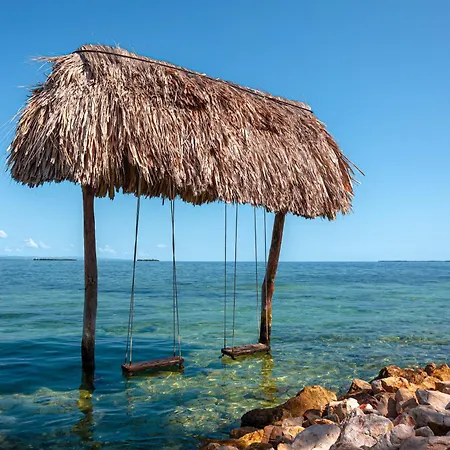 Bullock Island, Belize-2