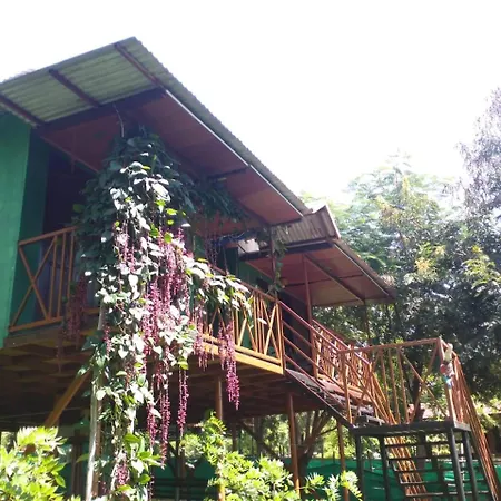 Jungle Mist Cottages-2