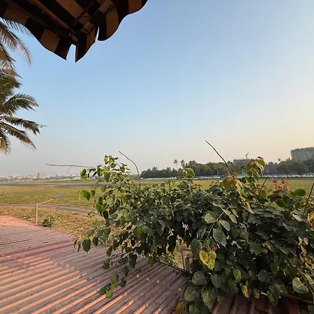 Hotel Beach Garden-2