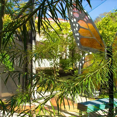 Pupa House Hotel-3