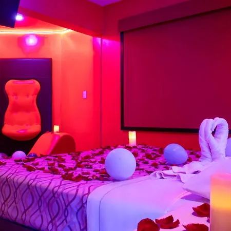 Hotel Muy Cdmx, Hotel Romántico-3