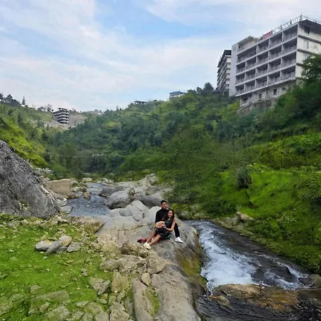 Palm Aryan Pause By The Stream-2