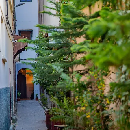 Riad Yamna-2