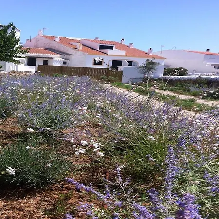 Hostal La Palma-3