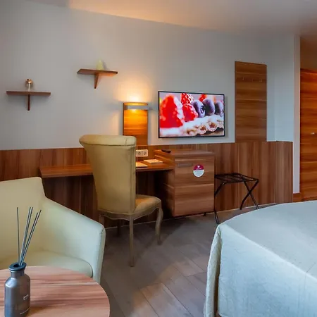 Arthotel ANA Astor-3