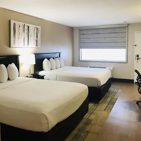 Stanford Inn & Suites Anaheim-3
