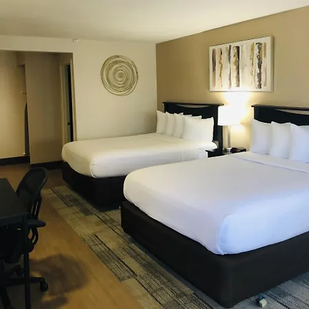 Stanford Inn & Suites Anaheim-3